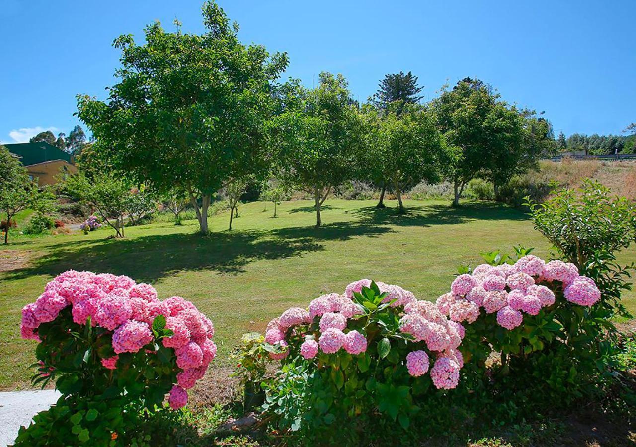 Pension Casa Elena Reinante Buitenkant foto