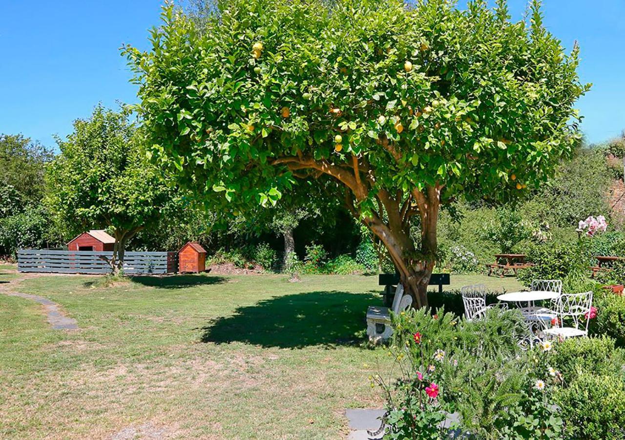 Pension Casa Elena Foro Buitenkant foto