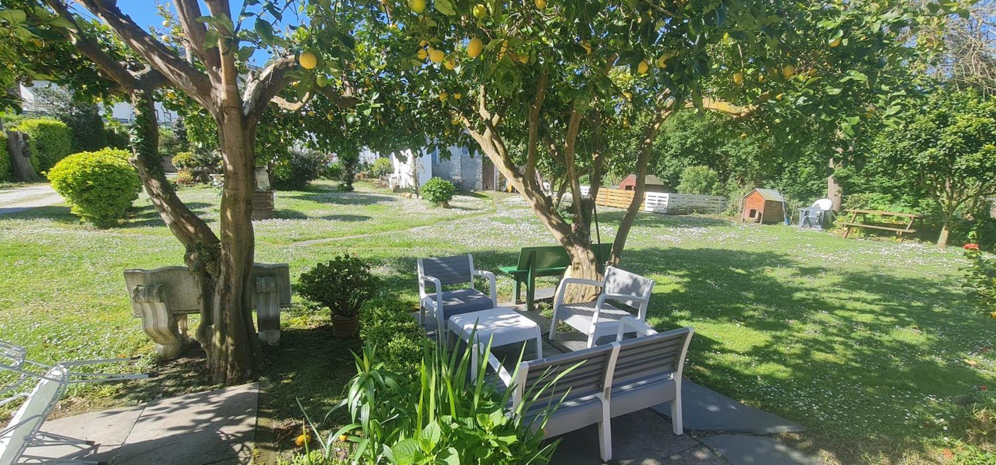 Pension Casa Elena Foro Buitenkant foto